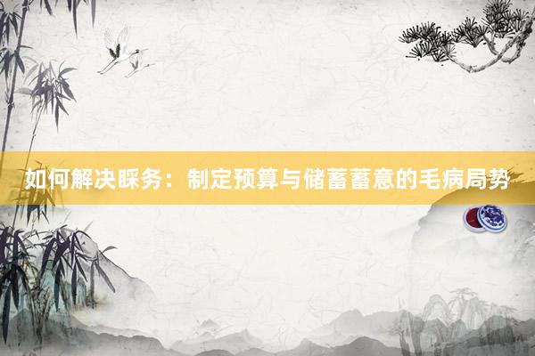 如何解决睬务：制定预算与储蓄蓄意的毛病局势