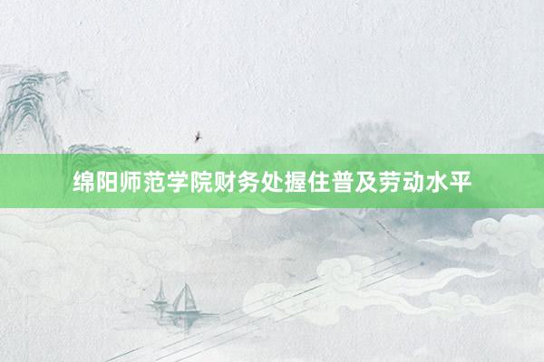 绵阳师范学院财务处握住普及劳动水平