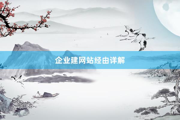 企业建网站经由详解