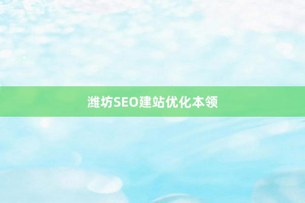 潍坊SEO建站优化本领