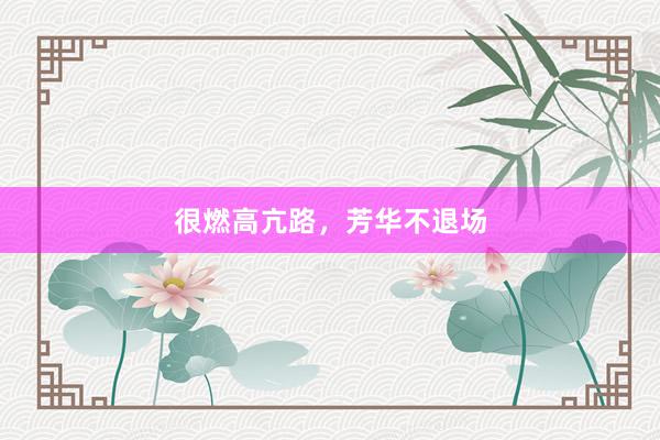 很燃高亢路，芳华不退场